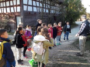 Schüler im Freilichtmuseum Nur mit Muskelkraft vom Korn zum Brot-das lernten die Viertklässler auf einem Ausflug