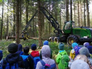 Kinder im Wald Schüler sehen Waldarbeiten zu