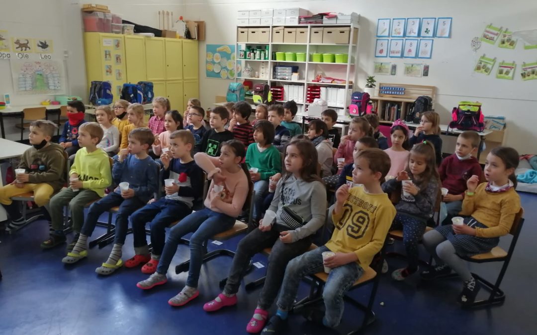 Schüler betrachten Präsentation