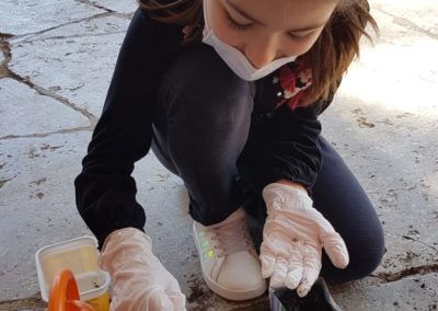 SchülerInnen der Klasse 3 beweisen geschick und einen grünen Daumen.